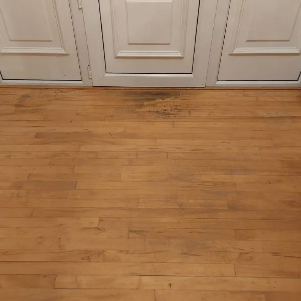 Sanded and Finished Floor 1 Before